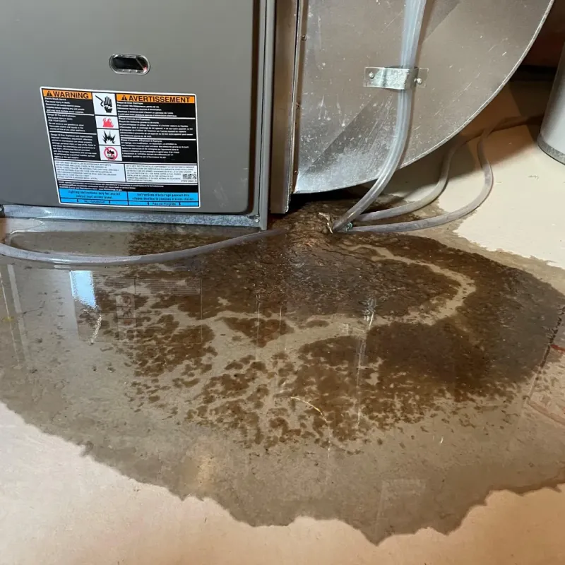 Appliance Leak Cleanup in Mountlake Terrace, WA